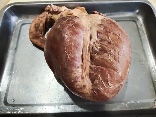 杂碎真空包装三斤赠送焖子驴肉