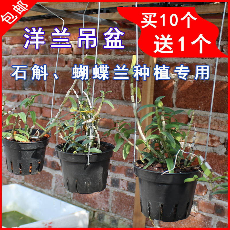 蝴蝶兰石斛专用透气花盆挂钩塑料