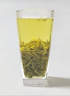新茶春茶罐装清香浓孟宗大观山