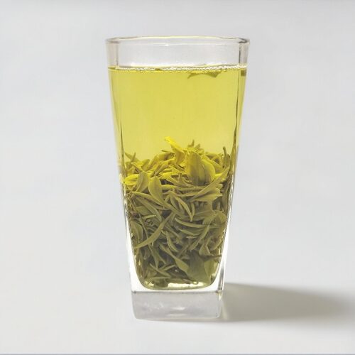 新茶春茶罐装清香浓孟宗大观山