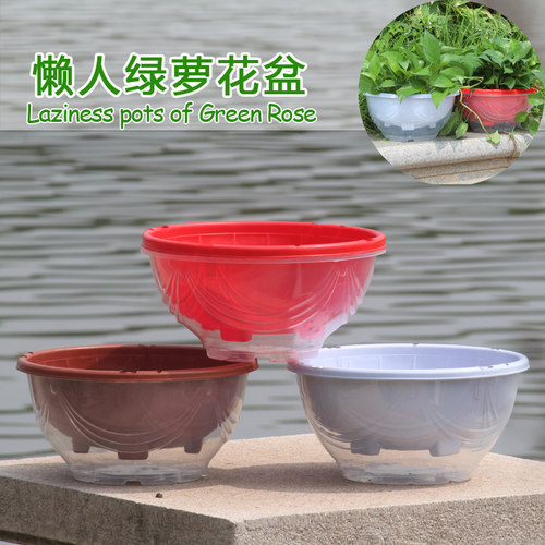 盆栽水培植物 绿萝花盆透明自吸水外盆塑料大 储水懒人盆室内包邮 - 封面