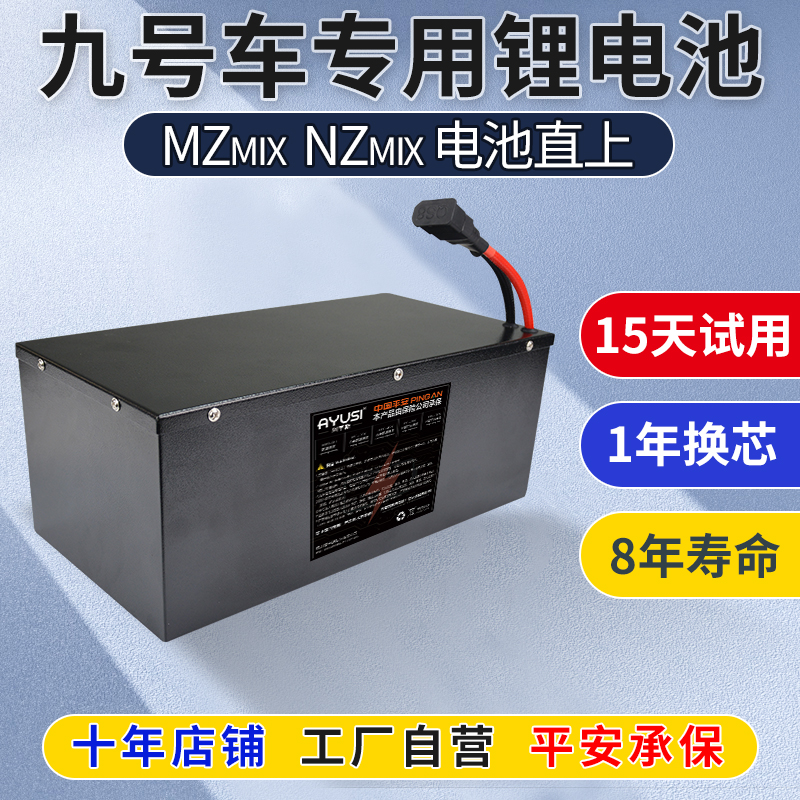 九号MZmix电池宁德电芯单体NZFZ