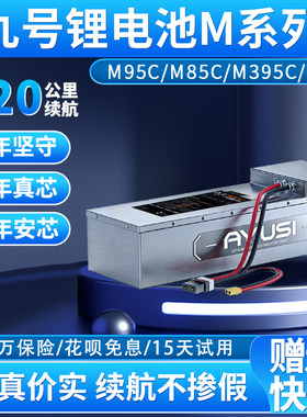 适用小牛FX九号M95cN385c极核AE5电动车锂电池直上宁德大单体时代