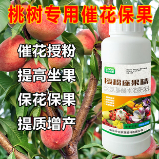 桃树坐果灵保花保果催花授粉桃子座果防落果防裂增甜樱桃李子通用
