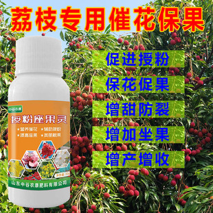 荔枝坐果灵保花保果催花授粉座果防落果防裂增甜樱桃龙眼桃树通用