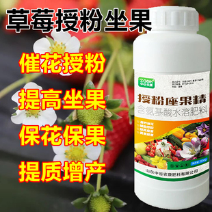 草莓授粉药坐果灵催花座果叶面肥保花保果防落果防裂李子桃树梨树
