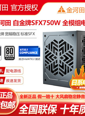金河田白金牌SFX550W/650W/750W/850W全模组SFX标准ATX3.1电源