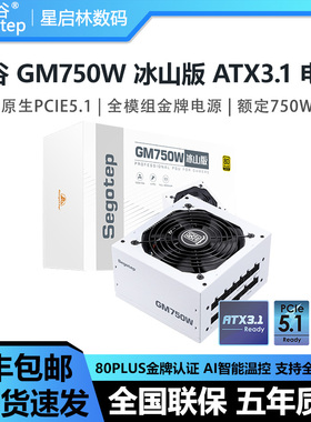 鑫谷GM650W/750W/850W冰山白色金牌全模组ATX3.1静音温控电脑电源