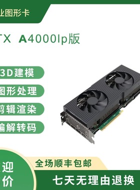 RTX A4000 A3000 A5000 16G专业图形显卡 AI绘图建模渲染服务器
