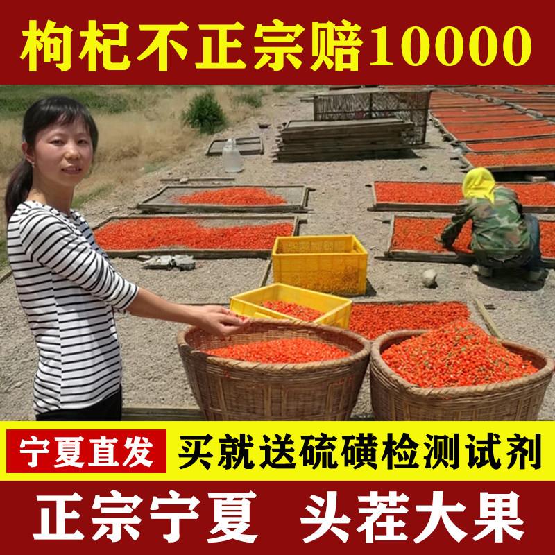 新货头茬中宁苟构红枣枸杞子宁夏正宗特级袋装500g官方旗舰店泡水
