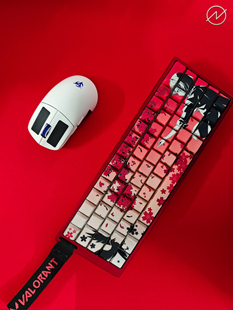 两色Sakura侧刻透光键帽 定制款3天内发 五面热升华 图案清晰完整