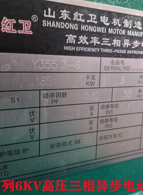 山东厂家直供 Y3553-6/185KW-6KV 高压三相异步电动机 质量保障