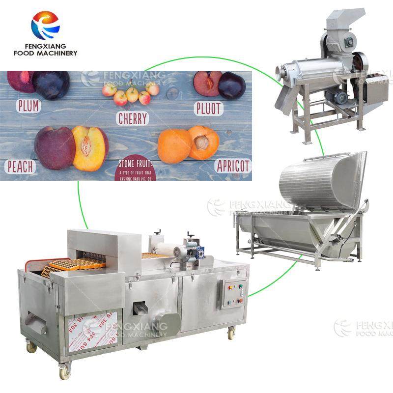 果蔬加工设备 水果加工整套设备 果蔬去核机清洗榨汁 欢迎咨询,清洗/食品/商业设备,休闲食品加工设备,淘宝优惠券,粉丝福利购,淘宝优惠卷