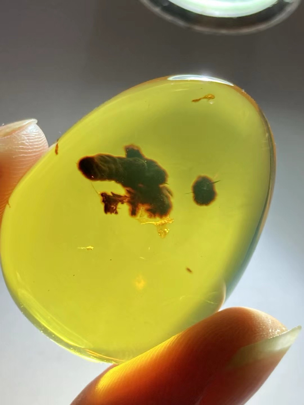缅甸琥珀植物珀吊坠