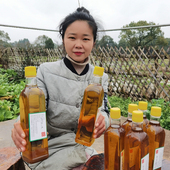 江西山茶油正宗山茶油江西茶籽树油500ml一瓶