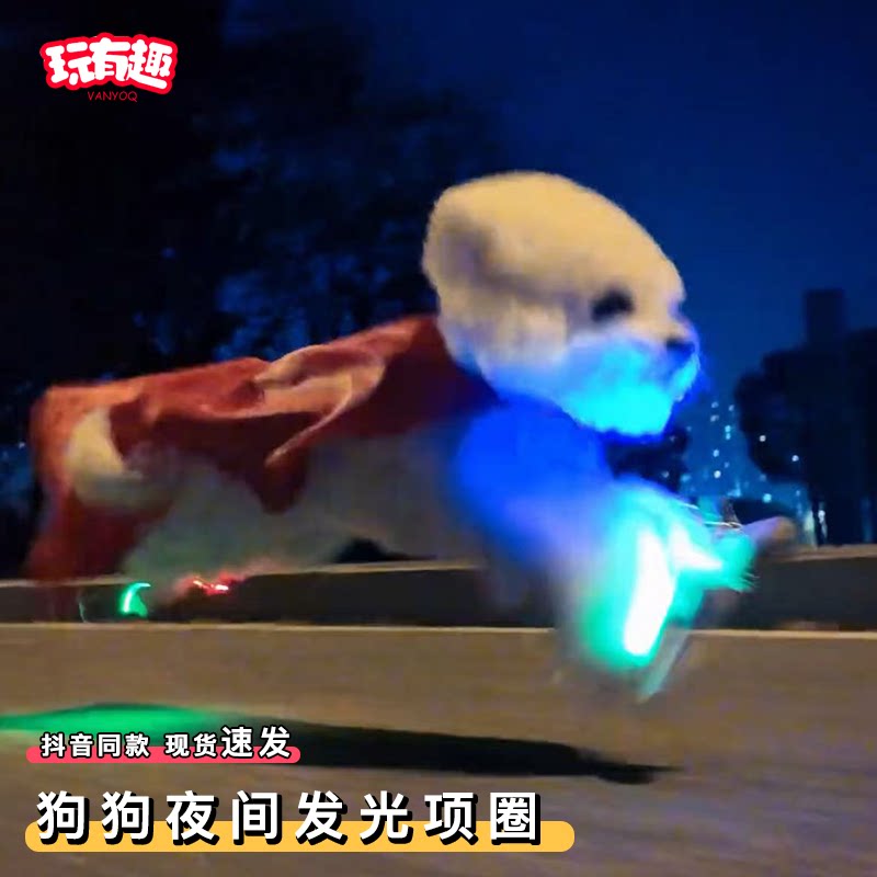 宠物狗狗夜间发光项圈猫咪脚脖子项链发亮led充电中小型犬颈圈
