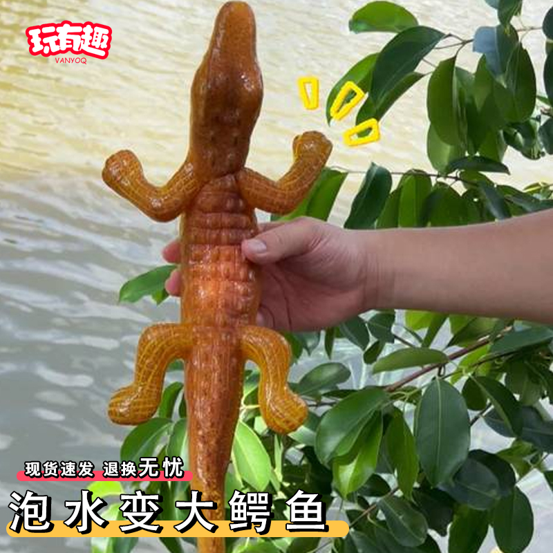 泡水膨胀玩具鳄鱼仿真动物模型哈基史前巨鳄吸遇水变大整蛊玩具