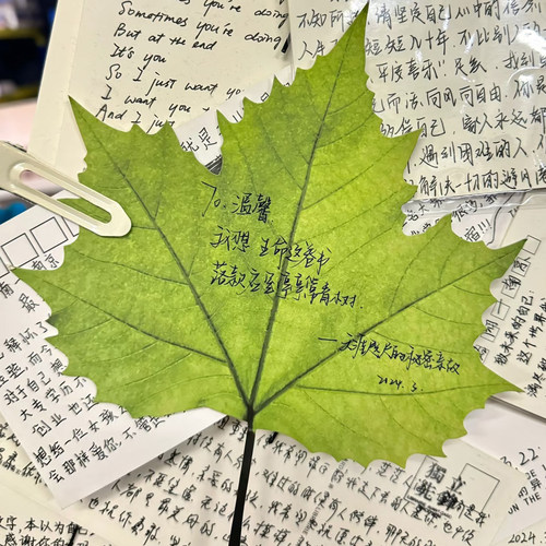 枫叶便利贴！缓缓飘落像真的