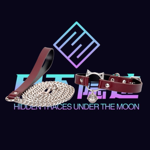 月下隐迹小猫K9项链豹纹项圈仿马毛皮革高级puppy牵引绳小众设计