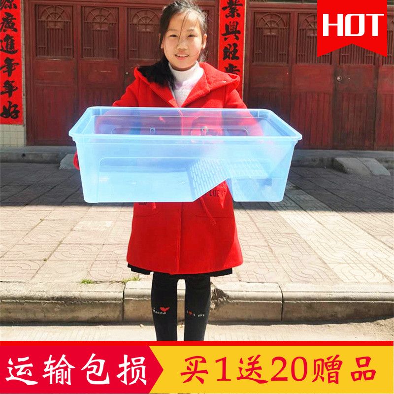 家用孵化箱多少钱 家用孵化箱优惠券免费领取 有条鱼