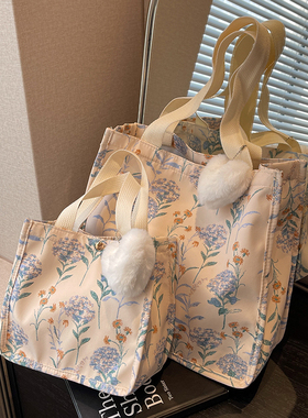 ins韩风帆布手提包包女2025新款大容量休闲托特包百搭小众腋下包