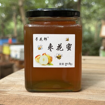 采集中国枣花蜜示范基地