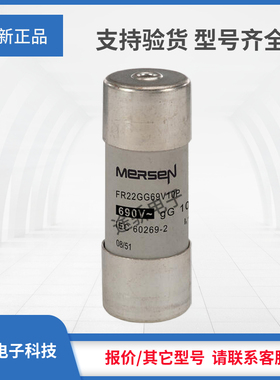 议价现货罗兰熔断器W217691/FR22GG69V10P W218726/FR22GG69V12P