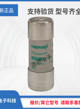 议价罗兰美尔森熔断器Q219779/FR22AM69V8P S222978/FR22AM69V10P