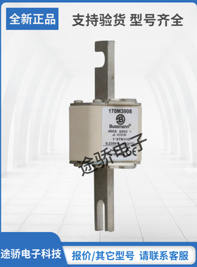 原装巴斯曼Bussmann熔断器型号齐全170M3906 170M3907 170M3908