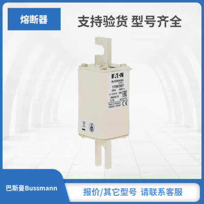 170M3986 170M3987 170M3988 170M3989巴斯曼Bussmann熔断器现货
