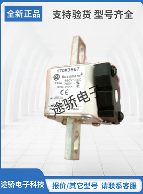 170M3670 170M3671 170M3672 170M3673巴斯曼Bussmann熔断器现货