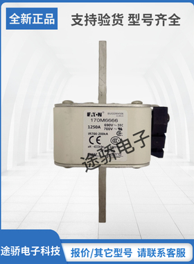 原装巴斯曼Bussmann熔断器170M6666 170M6667 170M6668 170M6669