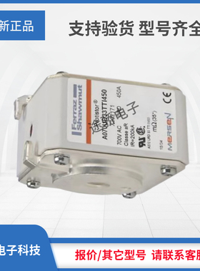 罗兰美尔森熔断器L300229/A070UD33LI550 M300230/A070UD33LI630