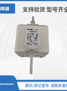 170M8553 170M8554 170M8555 170M8556巴斯曼Bussmann熔断器现货