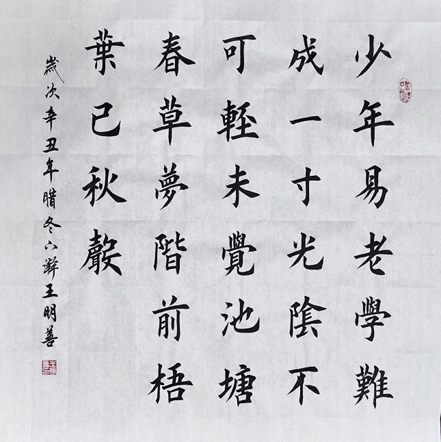 少年易老学难成一寸光阴不可轻书法作品手写楷书真迹朱熹劝学诗