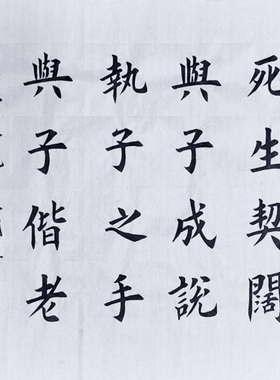 死生契阔与子成说执子之手与子偕老书法作品欧阳询体楷书手写定制