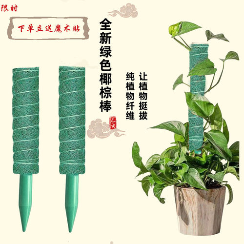 植物支撑杆绿萝攀爬架续接固定架