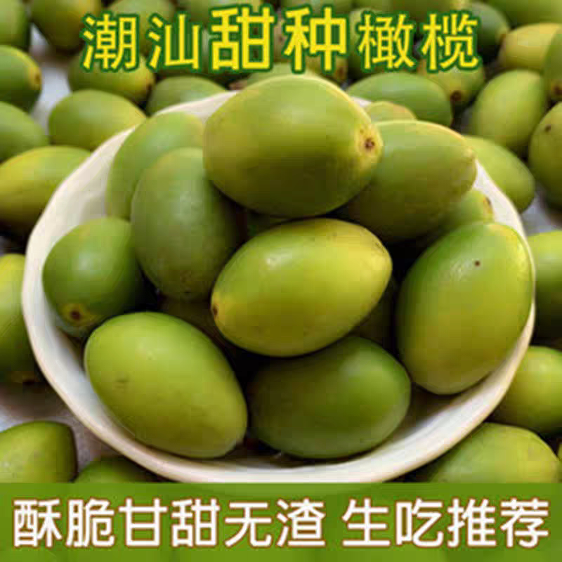 广东特产2号现摘当季檀香青橄榄