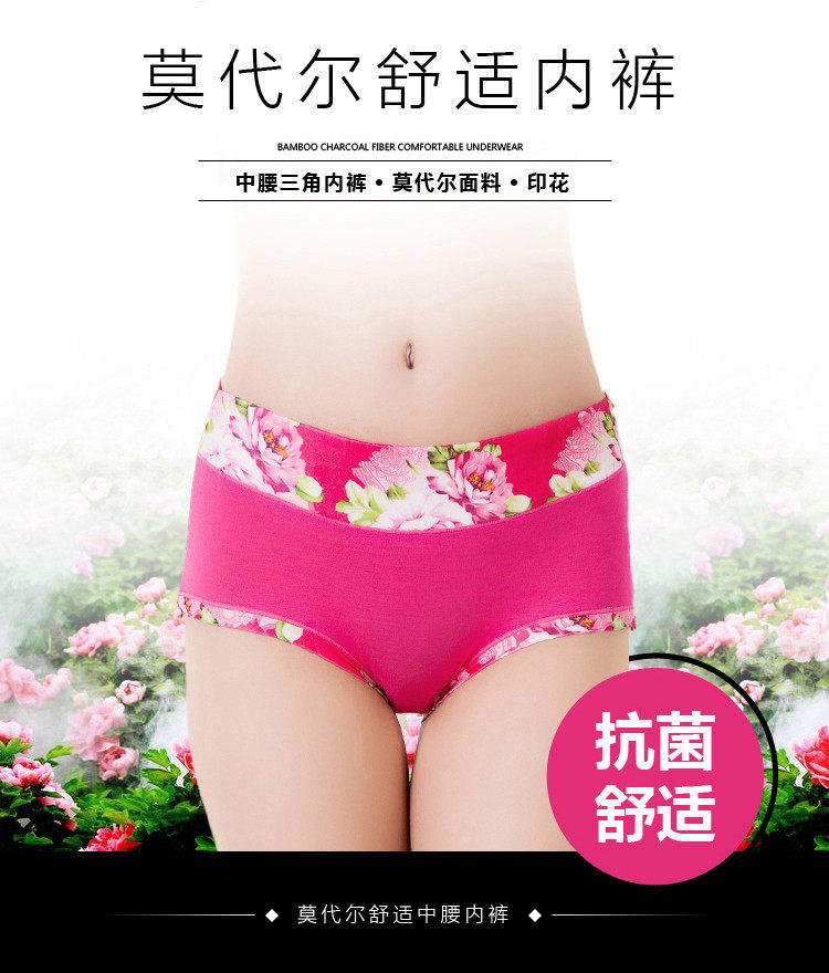 Slip Moyen-âge 061# en coton - Ref 643299 Image 1