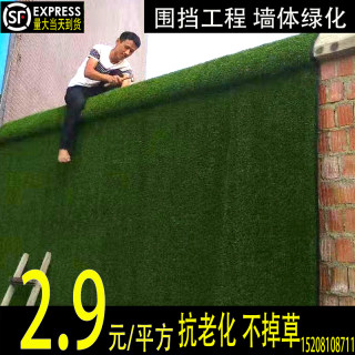 假草皮围挡人工造仿真绿色植物草坪工地市政工程绿化外墙装饰户外