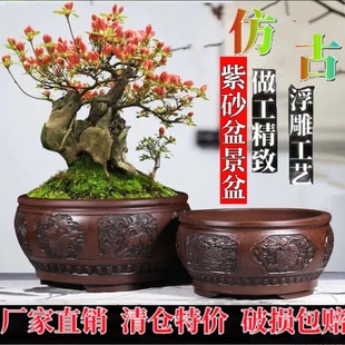 紫砂花盆长方形榕树梅花老桩盆景盆仿古浮雕植物盆景大号陶瓷花盆