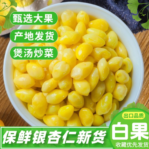 白果仁即食银杏果仁出口优品保鲜银杏仁煲汤煮粥熟白果真空包装