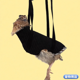 新款鹌鹑把手大小鹌鹑手把袋适应环境提升胆量控鹌鹑神器鹌鹑布袋