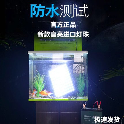 12v夜市灯地摊灯电瓶充电灯低压直流超亮户外应急灯48伏led摆摊灯