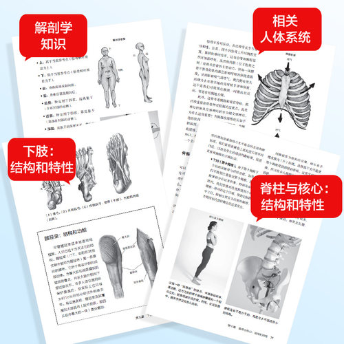 正版图书包邮基于解剖学与生物力学的瑜伽体式精解[英]里歇尔·里卡德（Richelle Ricard） 著 邱源、许婕 译9787115610225