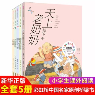 官方正版 彩虹桥非注音 天上掉下个老奶奶 神奇的电影 天鹅牧场 两个小公主 小芝麻课外阅读书籍儿童文学寒暑假阅读经典童话故事书