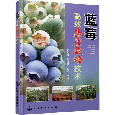 正版图书包邮蓝莓  基质栽培技术曾其龙、董刚强、於虹  主编9787122444592化学工业出版社