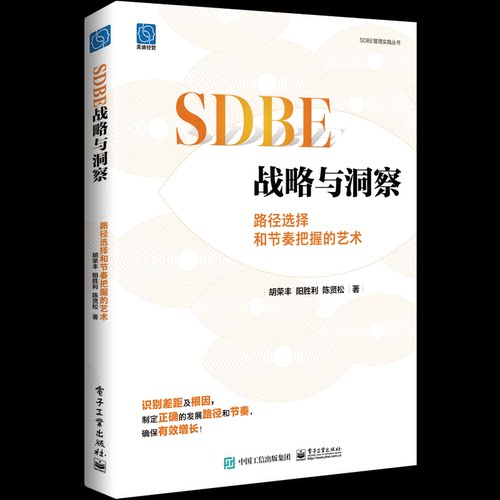 正版图书包邮战略与洞察：路径选择和节奏把握的艺术胡荣丰,阳胜利,陈贤松9787121459924电子工业出版社