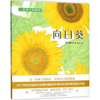 正版图书包邮 爱心树科学馆· 粒种子的旅程：向日葵  （精装绘本）荒井真纪9787513326179新星出版社