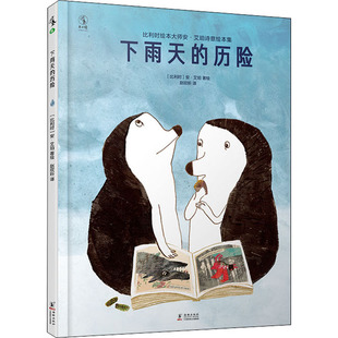 正版图书包邮 比利时绘本大师安·艾珀诗意绘本集：下雨天的历险  （精装绘本）[比利时] 安·艾珀 著，赵欣昕 译，未读 出品，